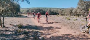 Imagen de WhatsApp 2023-09-23 a las 13.10.21