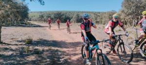 Imagen de WhatsApp 2023-09-23 a las 13.10.22