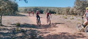 Imagen de WhatsApp 2023-09-23 a las 13.10.2M1