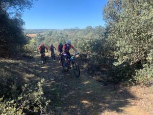 Imagen de WhatsApp 2023-09-23 a las 13.12.16