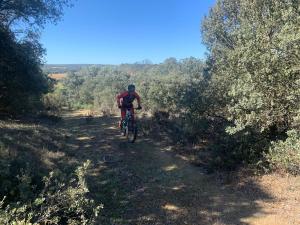 Imagen de WhatsApp 2023-09-23 a las 13.12.25