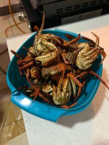 Imagen de WhatsApp 2023-09-23 a las 14.23.24