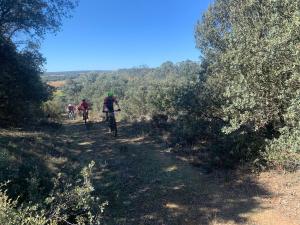 Imagen de WhatsApp 202TJLKFHJ3-09-23 a las 13.12.00